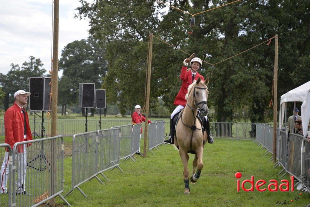 _MOO3114