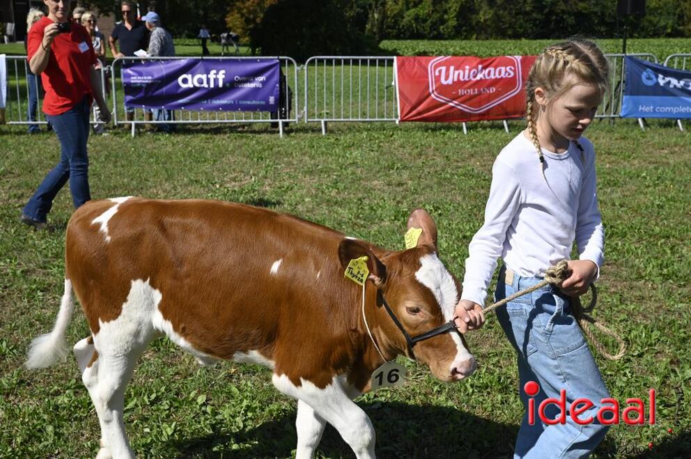 JB-KOCBronckhorst-2026-08-29-0018