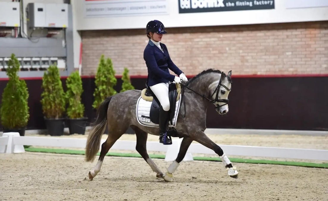 20220219-Gelderse-kampioenschappen-dressuur-jadetenpas