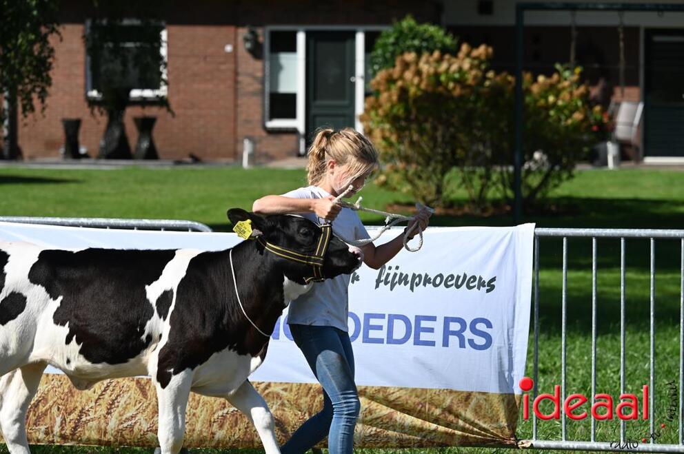 JB-KOCBronckhorst-2026-08-29-0053