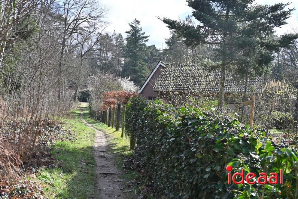 JB-wandel5maandse-2026-03-15-046