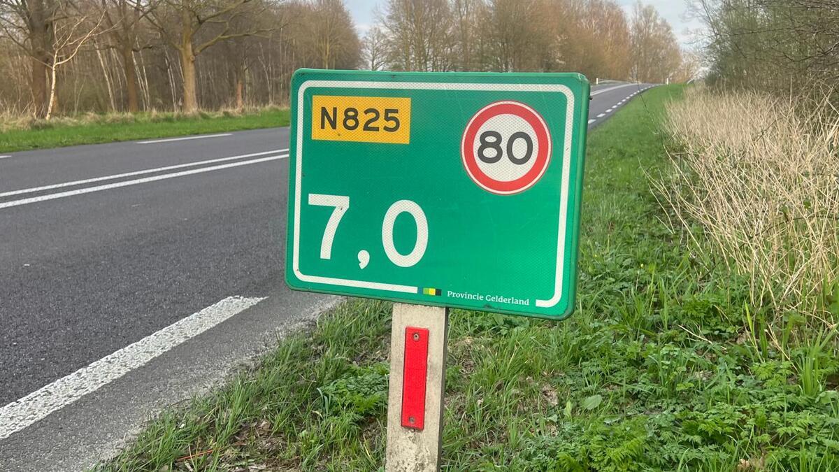 N825-2.jpg