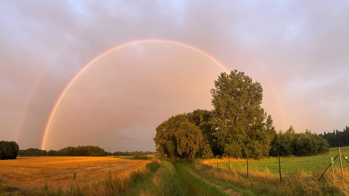 buitengebied-eefde-foto-LochemGroen-Tjitske-Ypma.jpg