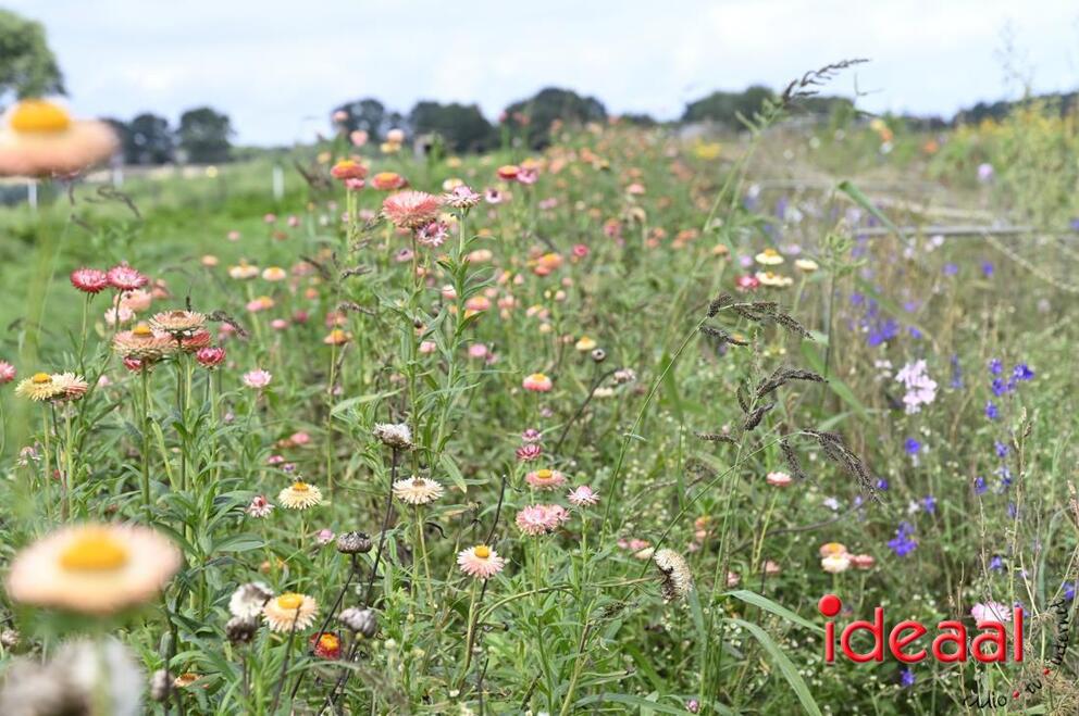 JB-opendag-2026-09-05-0039