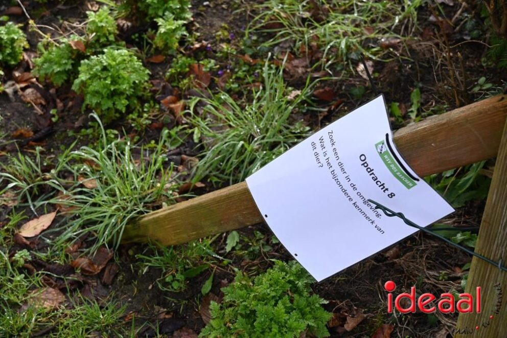 JB-wandel5maandse-2026-03-15-044