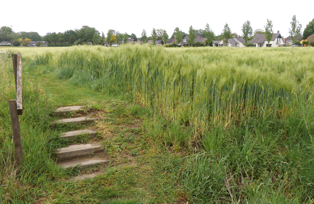 StokhorsterparkHummelo0.png