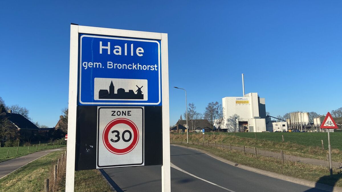 Halle2024-1