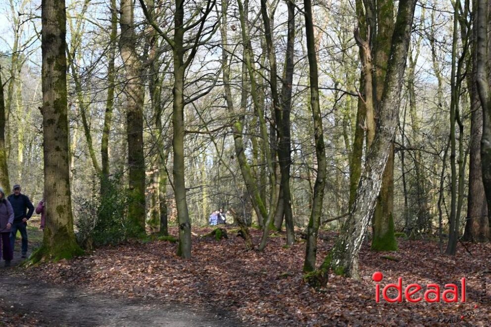 JB-wandel5maandse-2026-03-15-036
