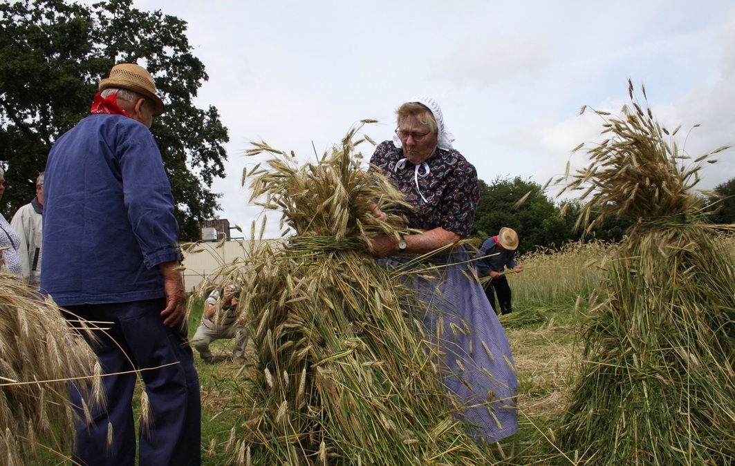 20240804-Folkloristisch-Zomerfeest-bij-Museum-Smedekinck012-artikelfoto