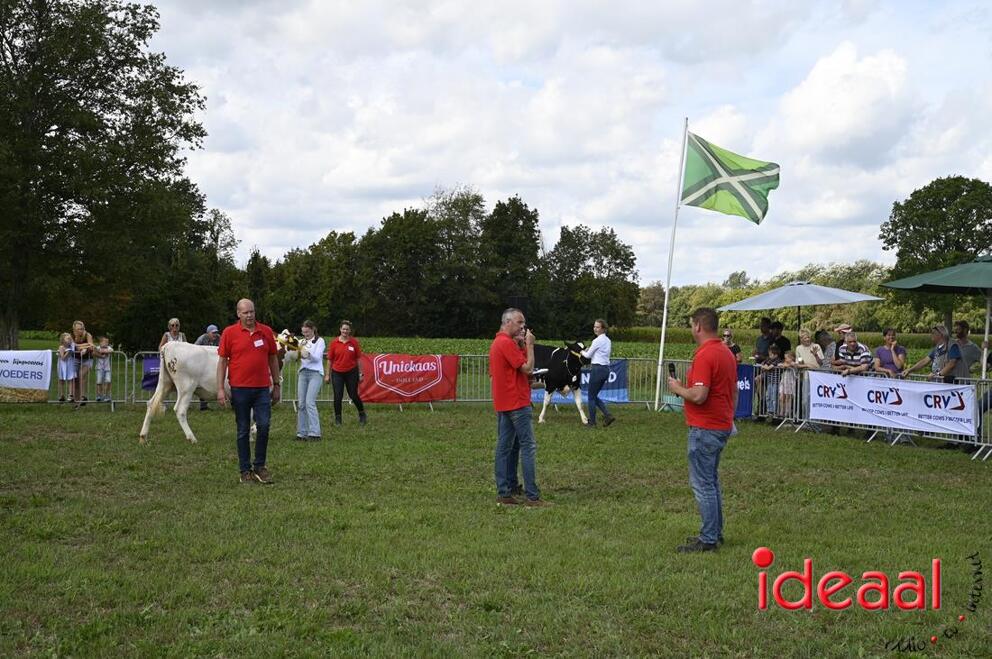 JB-KOCBronckhorst-2026-08-29-0027