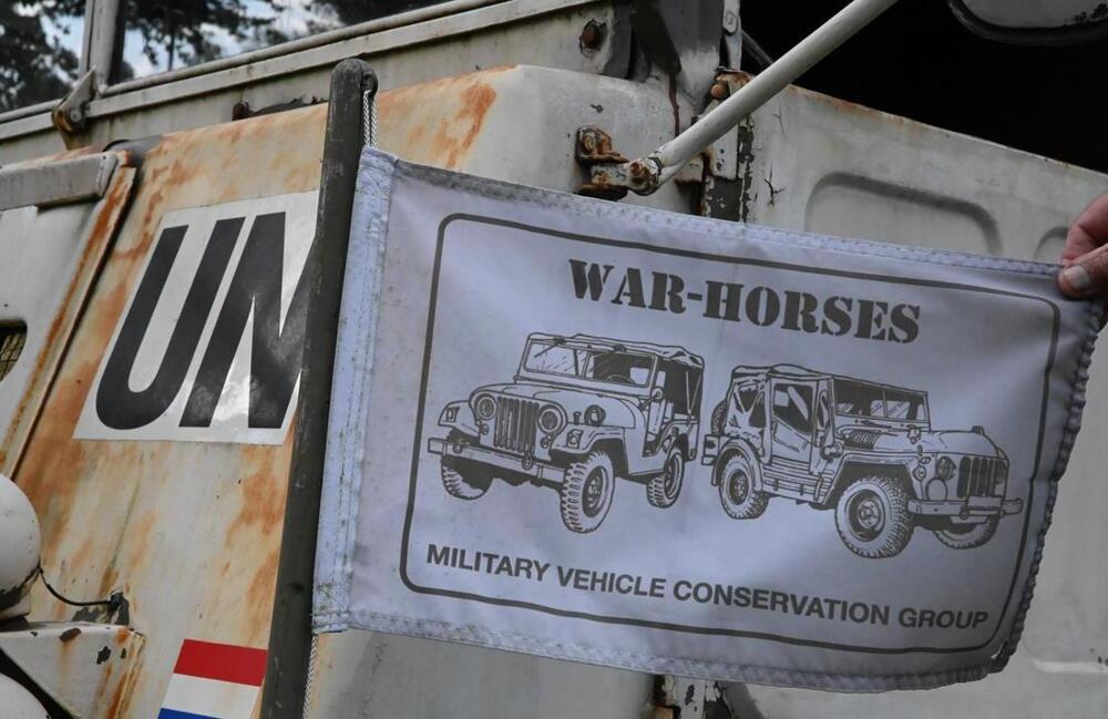 JB-war-horses-2026-05-02-0027.JPG