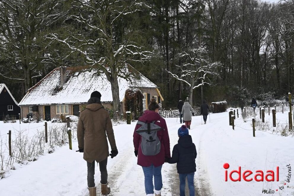 JB-winterwandelingWildenborch-2026-01-04-009