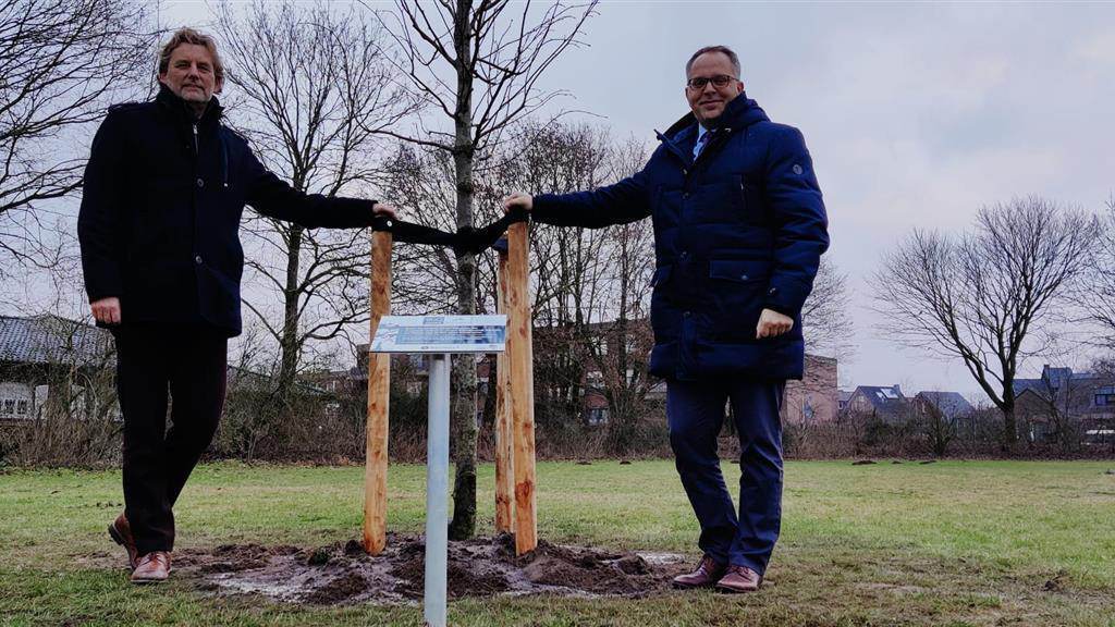 501512_bomen_Bocholt-REGIO8