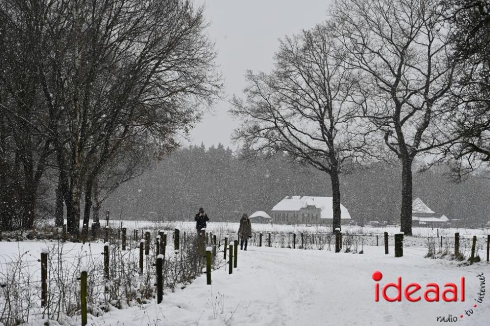JB-winterwandelingWildenborch-2026-01-04-026