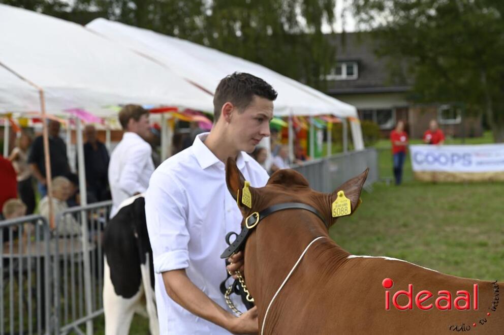 JB-KOCBronckhorst-2026-08-29-0028
