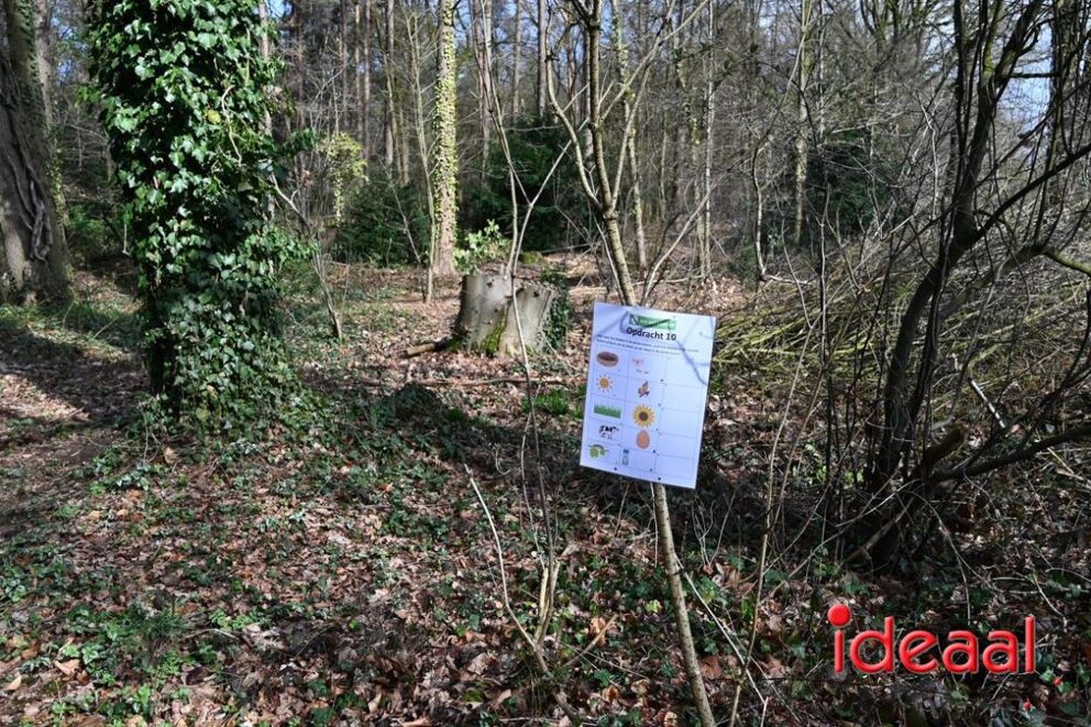 JB-wandel5maandse-2026-03-15-095