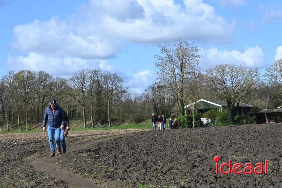JB-Plattelandswandeling-2026-03-29-054
