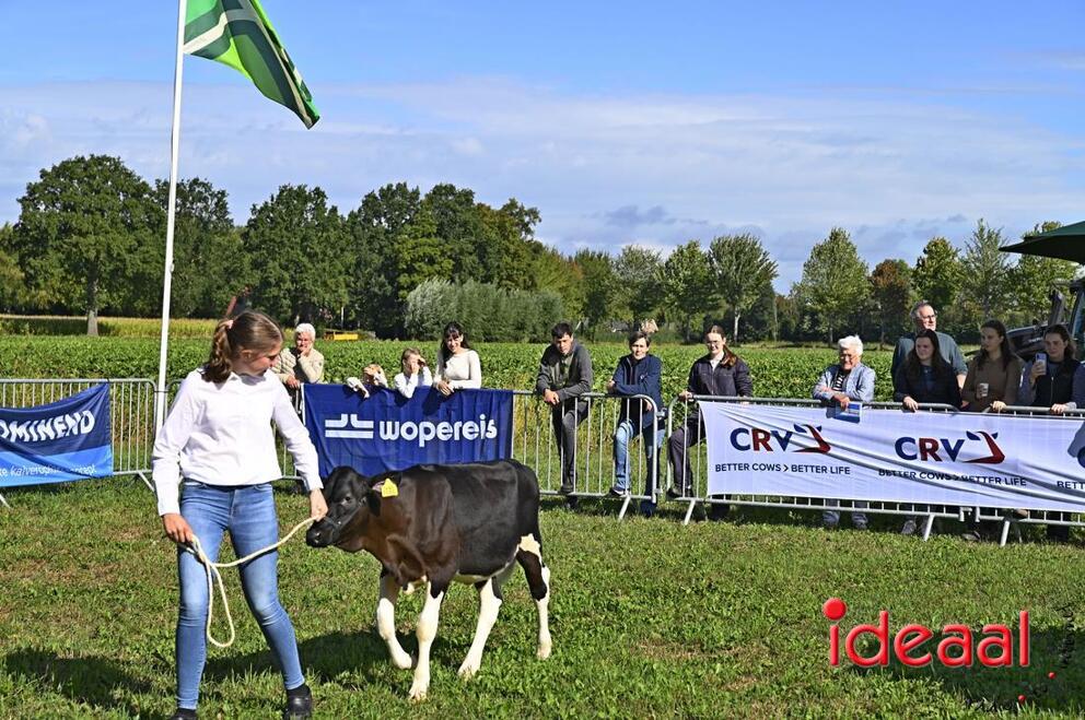 JB-KOCBronckhorst-2026-08-29-0002