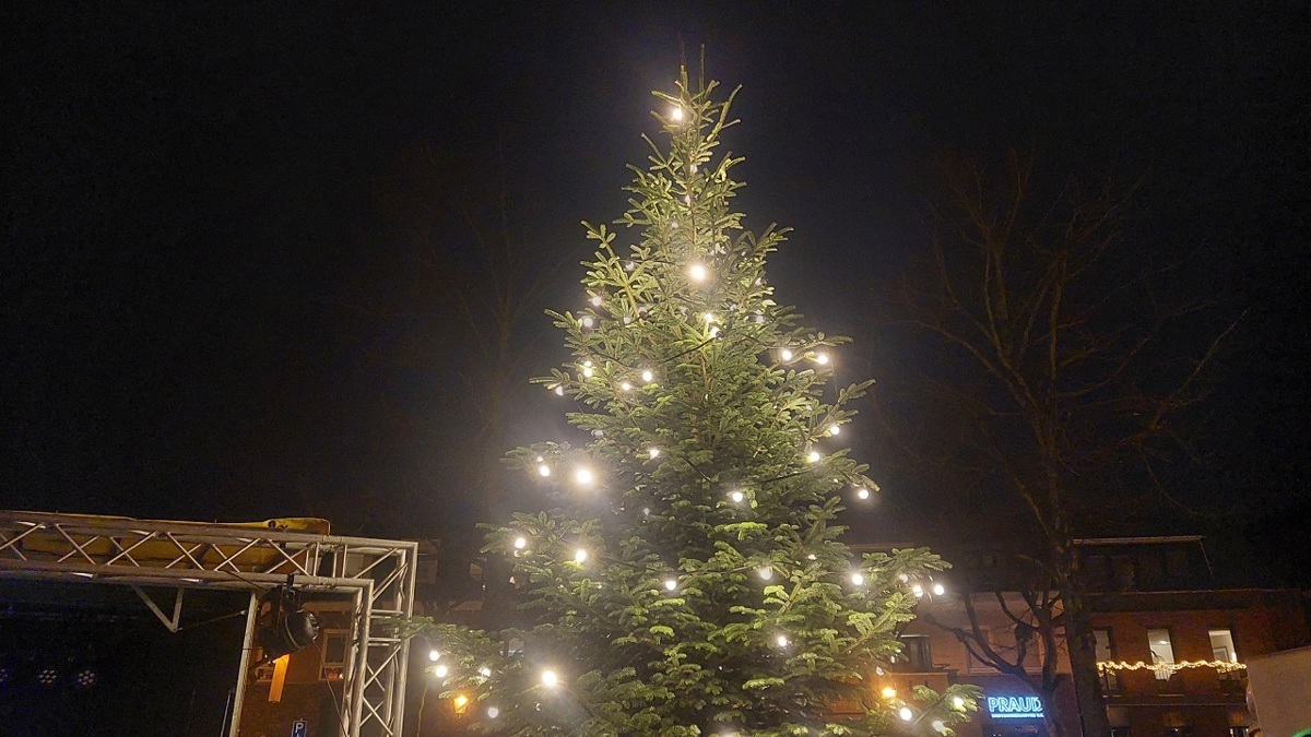 kerstboom-Lochem