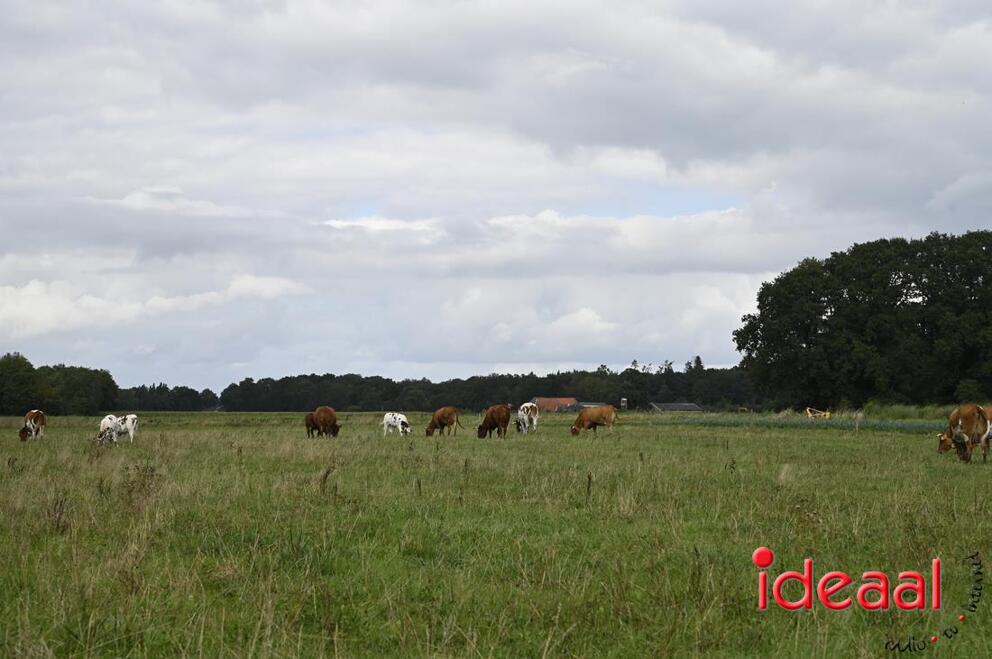 JB-opendag-2026-09-05-0034