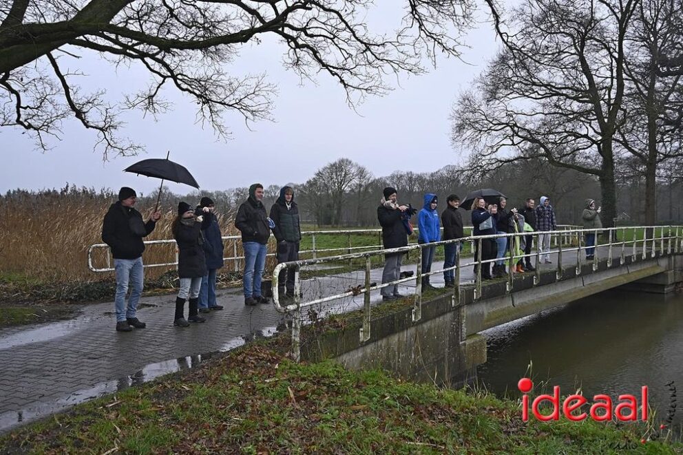 JB-nieuwjaarsduik-2026-01-01-021
