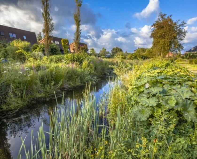 groene-stad-voorbeeld-534x430-1