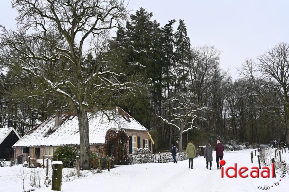JB-winterwandelingWildenborch-2026-01-04-007
