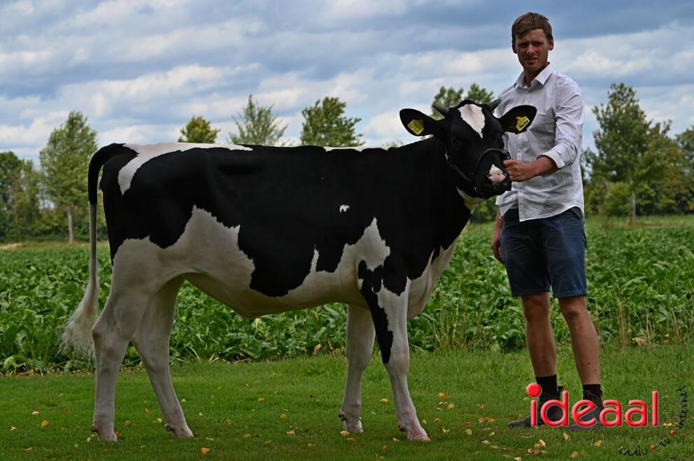 JB-KOCBronckhorst-2026-08-29-0067