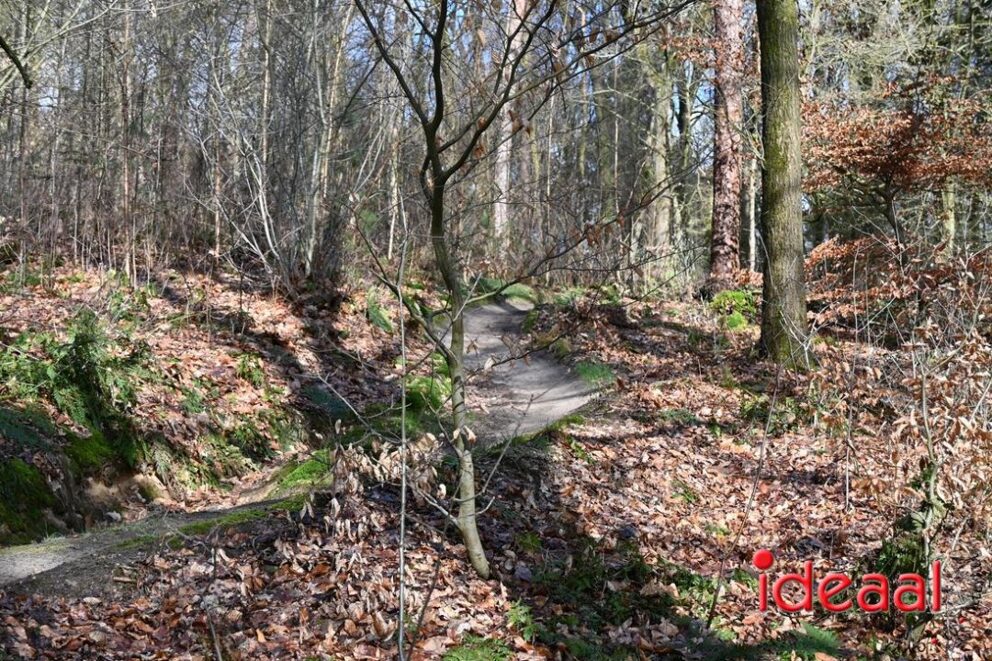 JB-wandel5maandse-2026-03-15-041