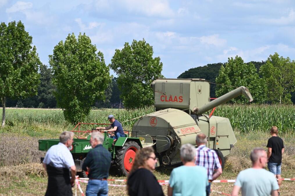 JB-OogstdagLaren2025-08-03-069