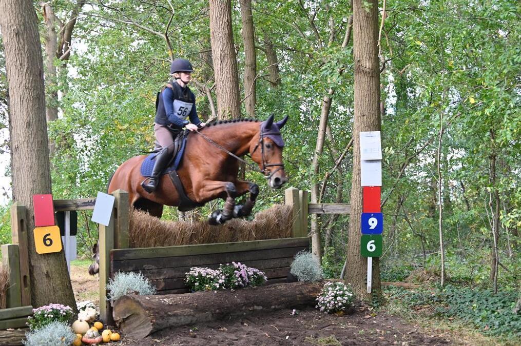 JB-EventingBarchem22-10-2023_65.jpg