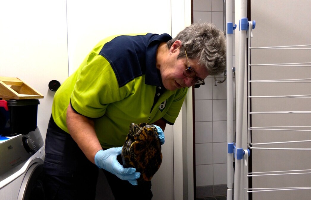 dierenambulance20