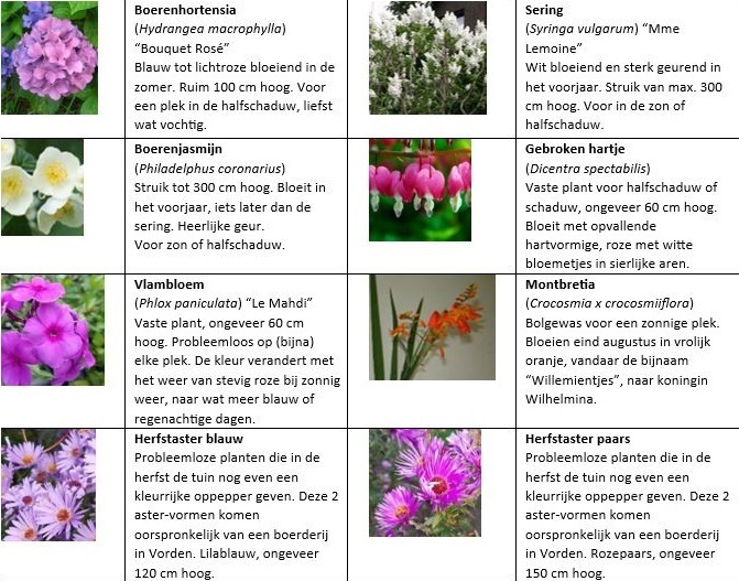 20240522-overzicht-van-de-planten-in-Vierakker.jpg