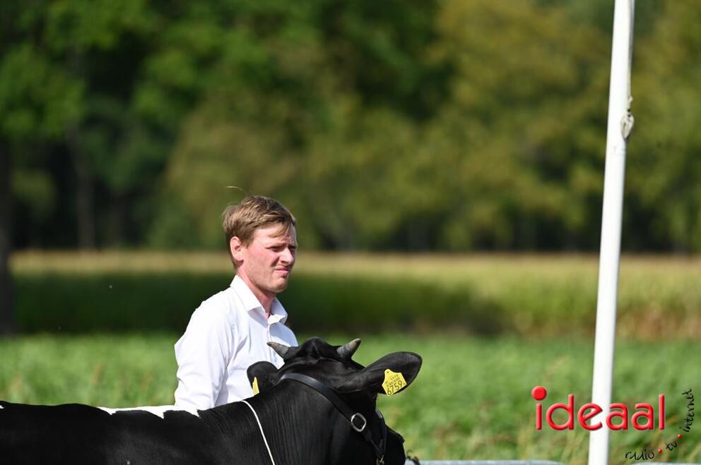 JB-KOCBronckhorst-2026-08-29-0065