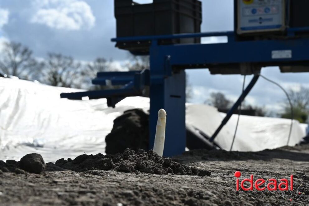 JB-Plattelandswandeling-2026-03-29-132