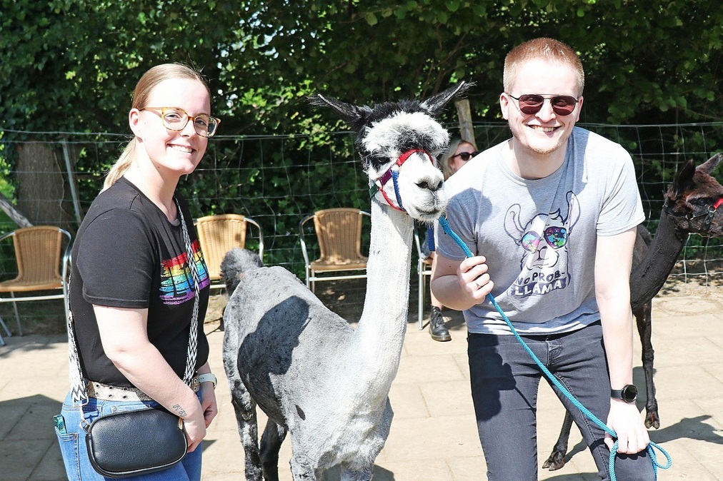 Alpacas-bij-alpaca-boerderij-in-Geesteren026-nieuwsartikel