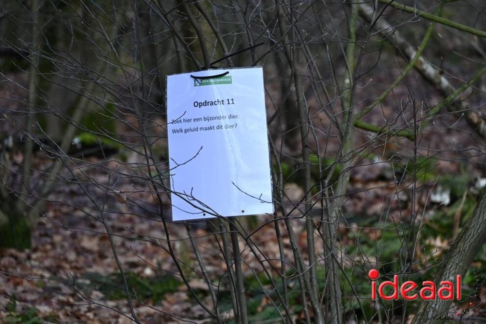 JB-wandel5maandse-2026-03-15-099