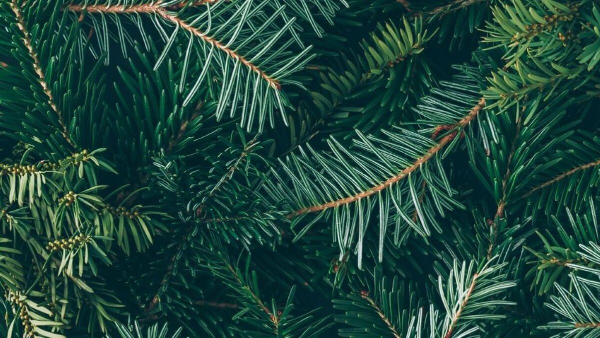 Header_website_kerstactie