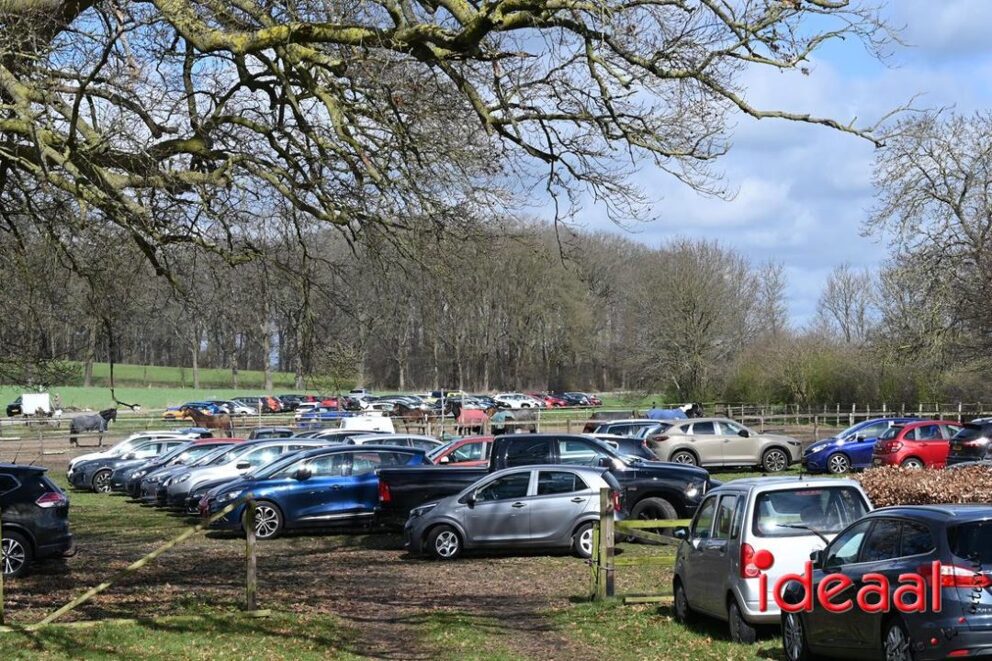 JB-wandel5maandse-2026-03-15-103