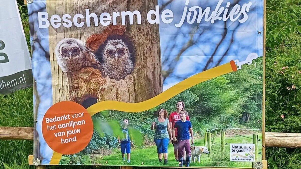 Bescherm20jonkies_2.jpg