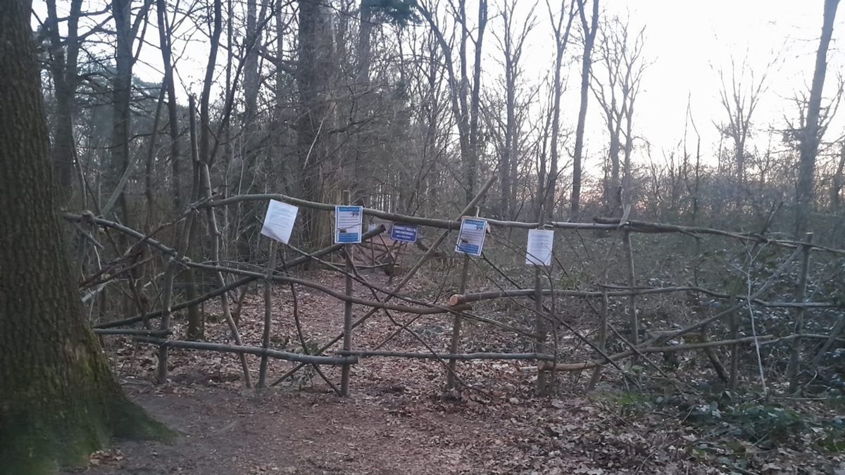IMG-20250309-WA0001-doorgang-HolistischBos-afgesloten