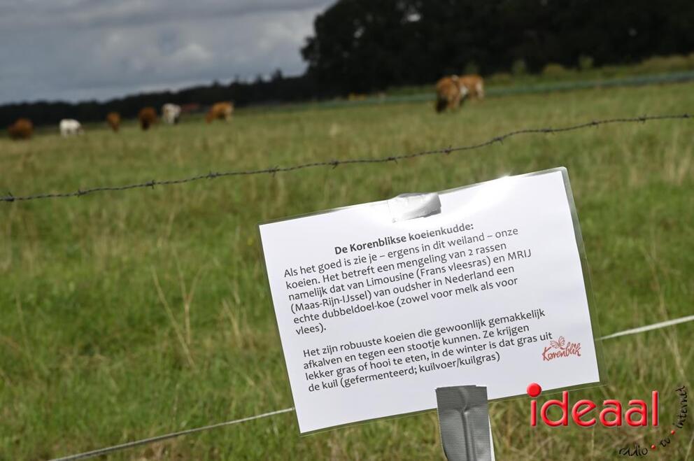 JB-opendag-2026-09-05-0033