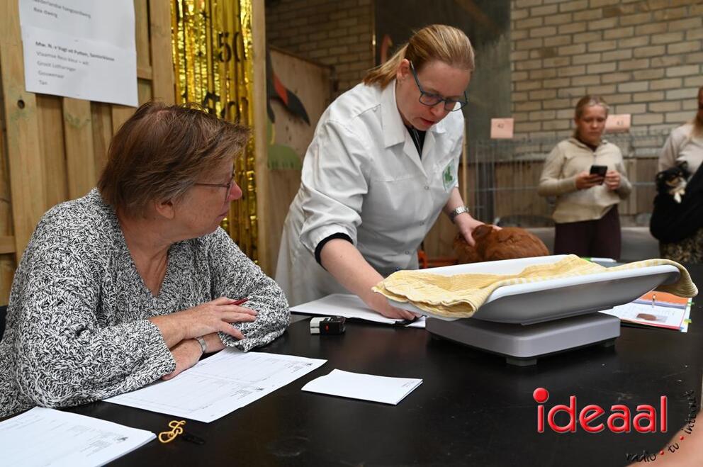 JB-JeugdshowLaren-2026-09-19-0053