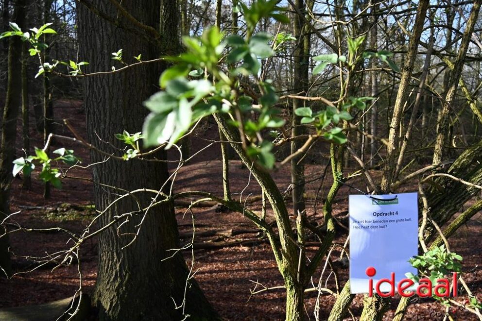 JB-wandel5maandse-2026-03-15-032