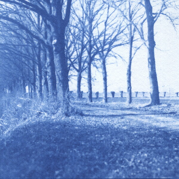 Havikerwaard 2 - foto Ruud Smit _ Blauwdruk (002)